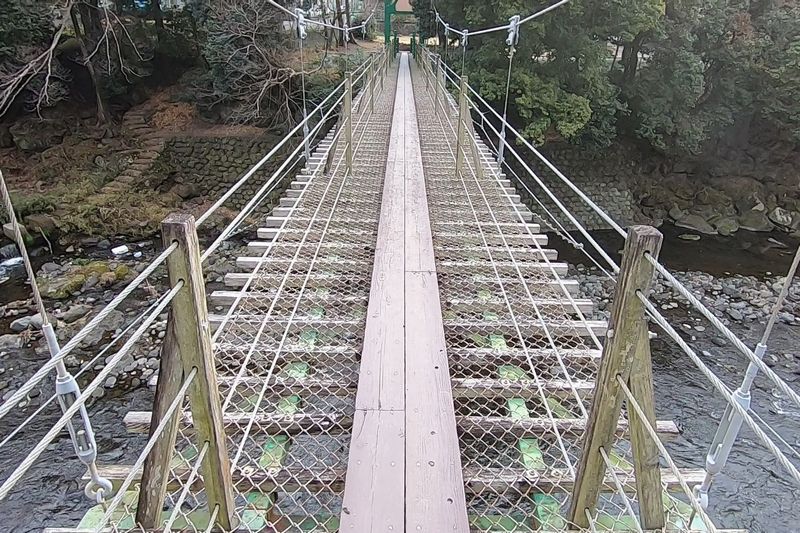 裾野市中央公園　吊り橋
